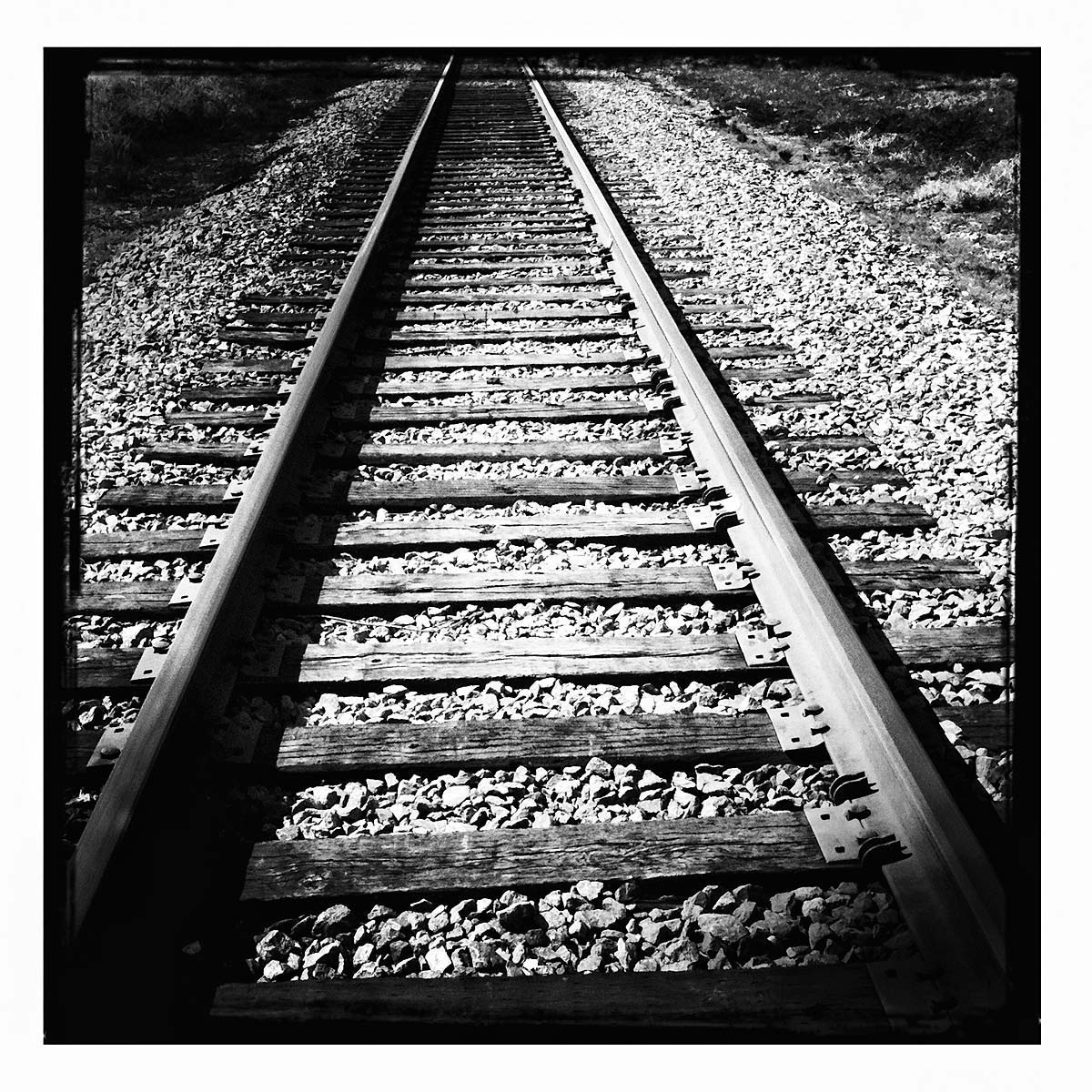 iPhone-Images-0960